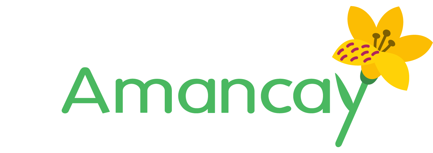 Amancay - Acompañamiento Institucional